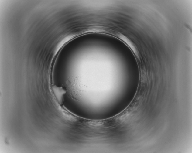 X0000096460861200801241405