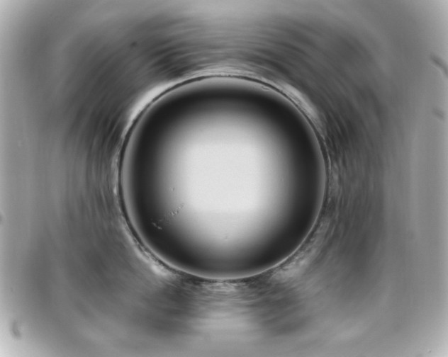 X0000096460862200801241405