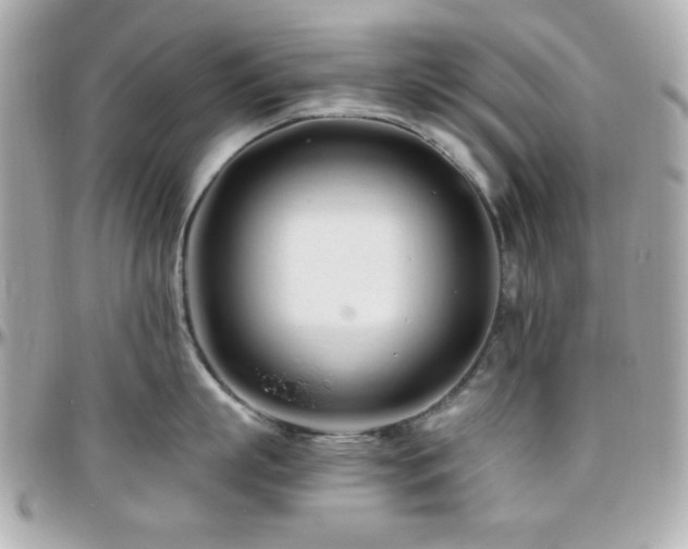X0000096460863200801241405