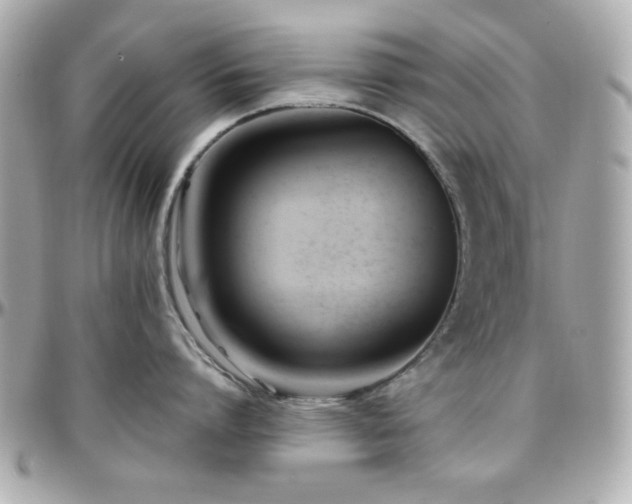 X0000096460864200801241405