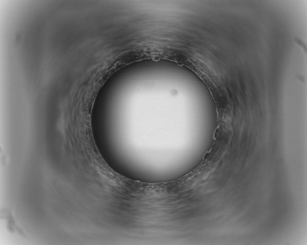 X0000096460865200801241405