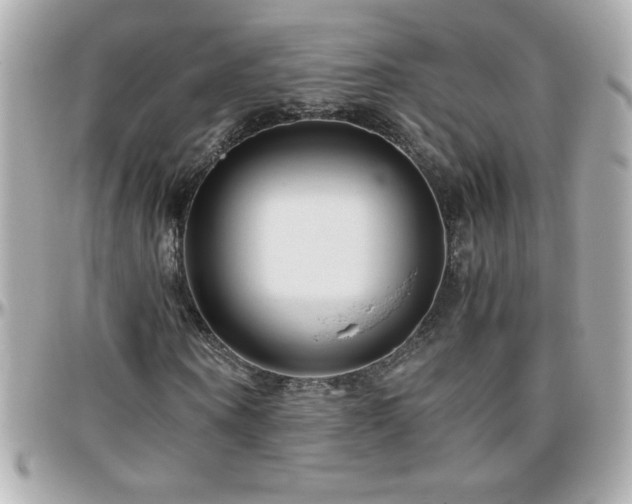 X0000096460866200801241405