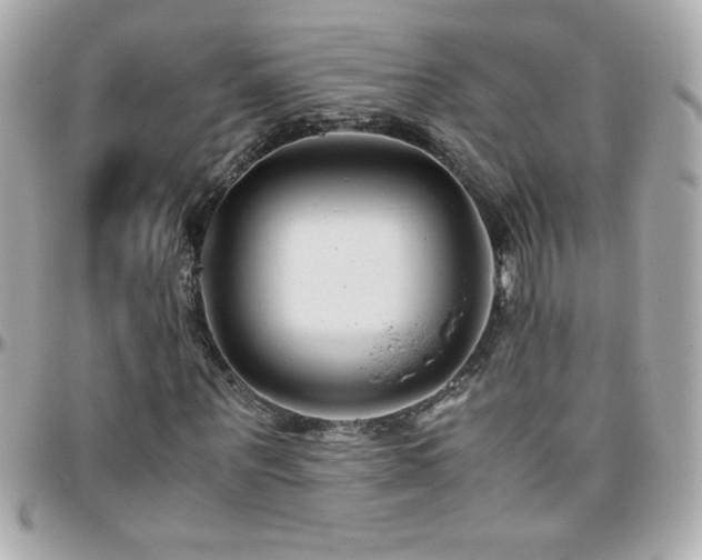 X0000096460867200801241405