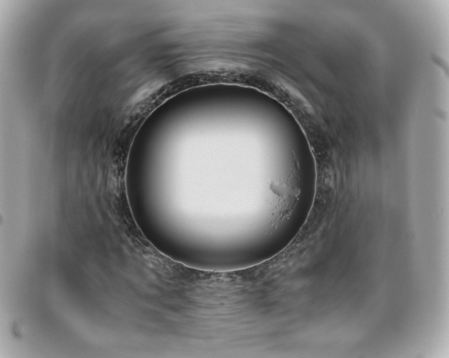 X0000096460869200801241405