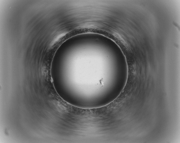 X0000096460872200801241405