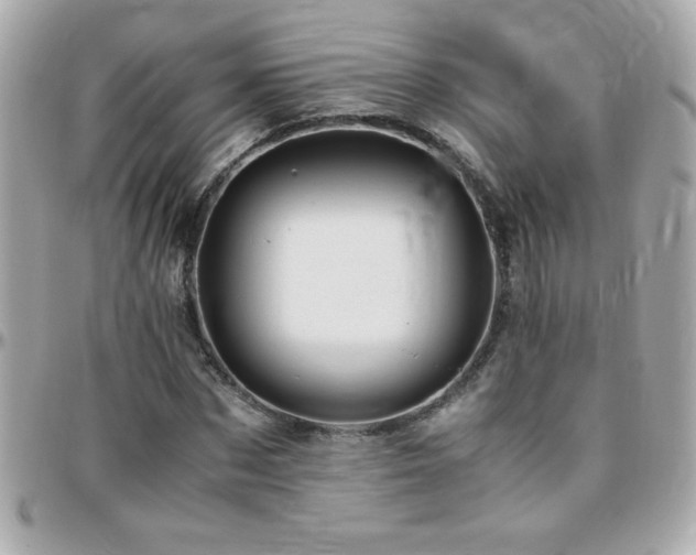 X0000096460873200801241405