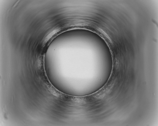 X0000096460874200801241404