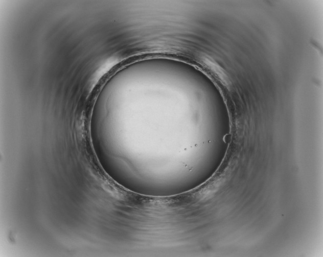 X0000096460875200801241404