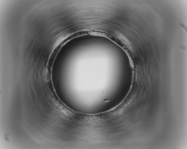 X0000096460876200801241404