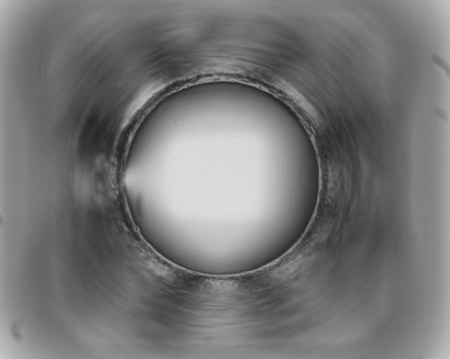 X0000096460878200801241404