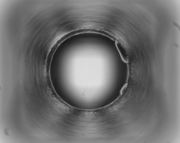X0000096460880200801241404
