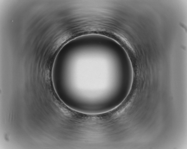 X0000096460881200801241404