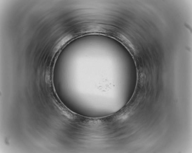 X0000096460882200801241404