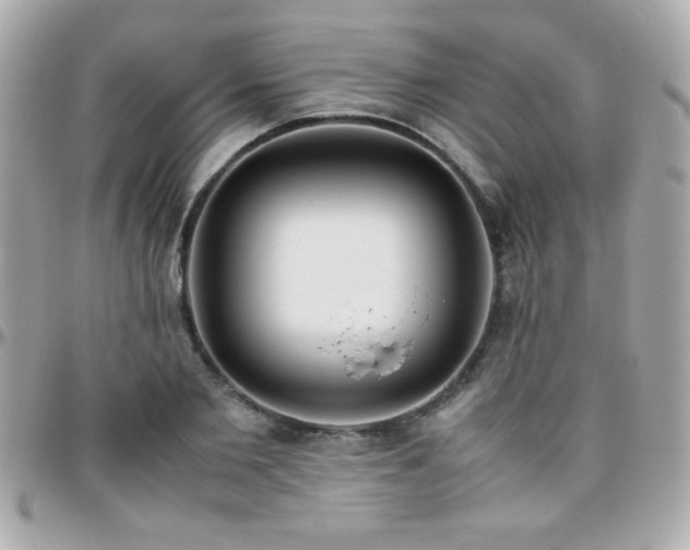 X0000096460885200801241404