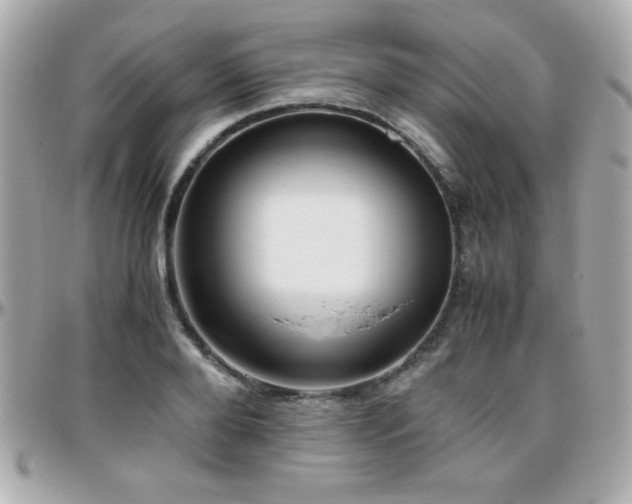 X0000096460888200801241404