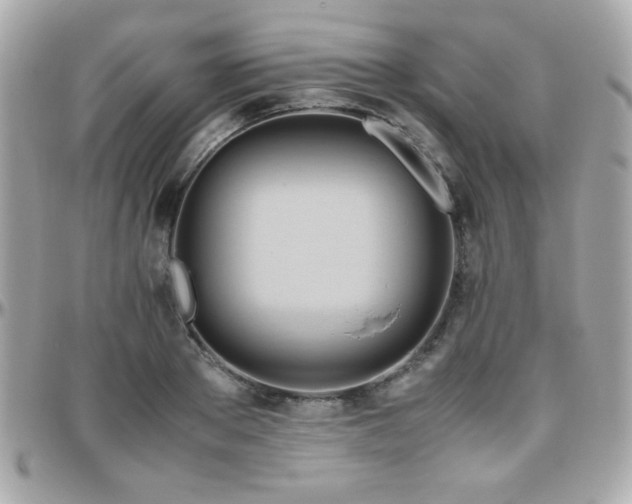 X0000096460889200801241404