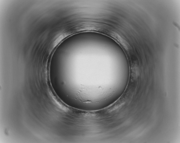 X0000096460890200801241404