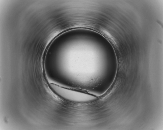 X0000096460892200801241404
