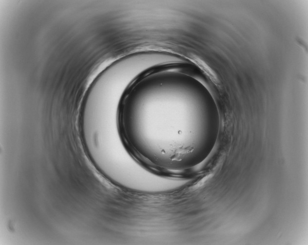 X0000096460893200801241404