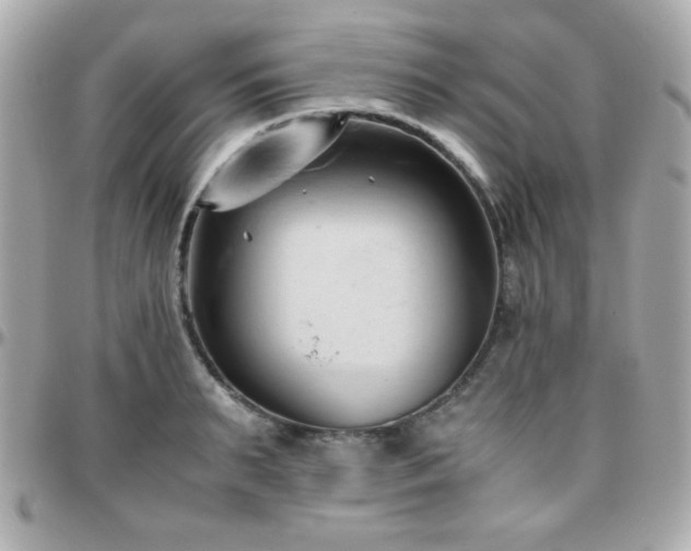 X0000096460895200801241404