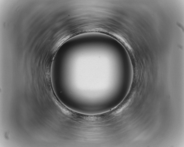 X0000096460897200801241404