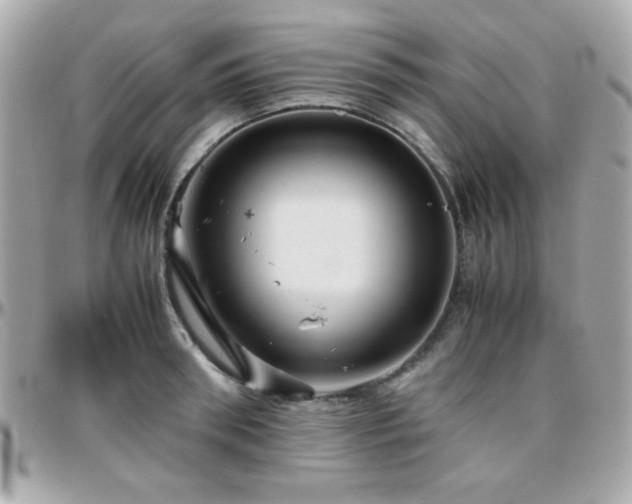 X0000096460898200801241404