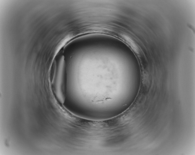 X0000096460899200801241404