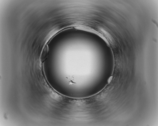 X0000096460900200801241404