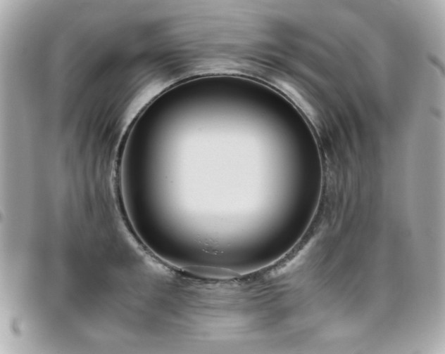 X0000096460901200801241404