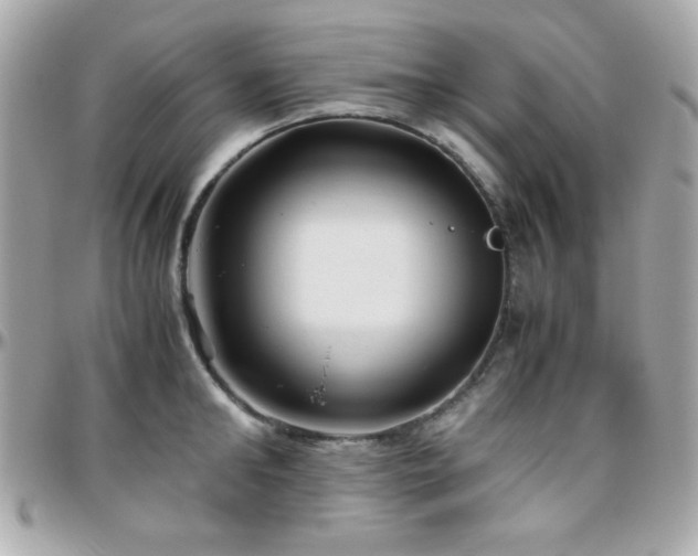 X0000096460902200801241404