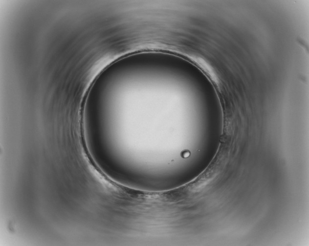 X0000096460903200801241404