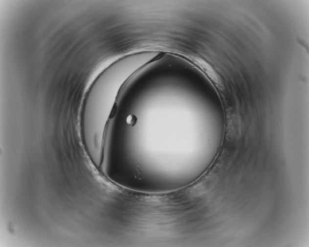 X0000096460904200801241404