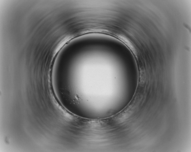 X0000096460906200801241404