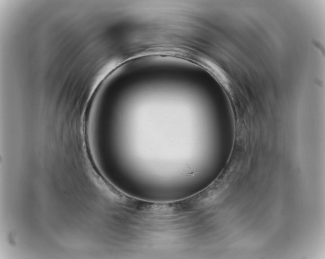 X0000096460907200801241404