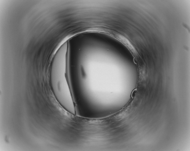 X0000096460908200801241404