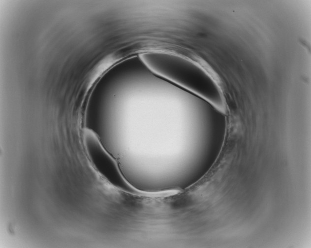 X0000096460909200801241404