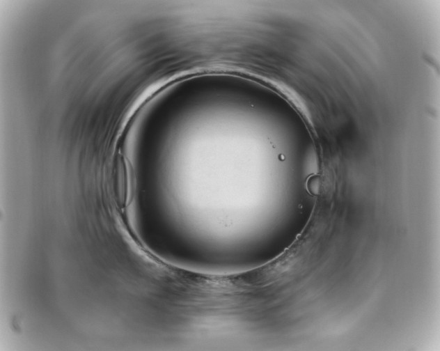 X0000096460911200801241404