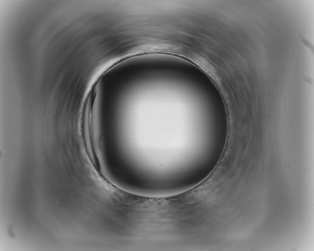 X0000096460912200801241404