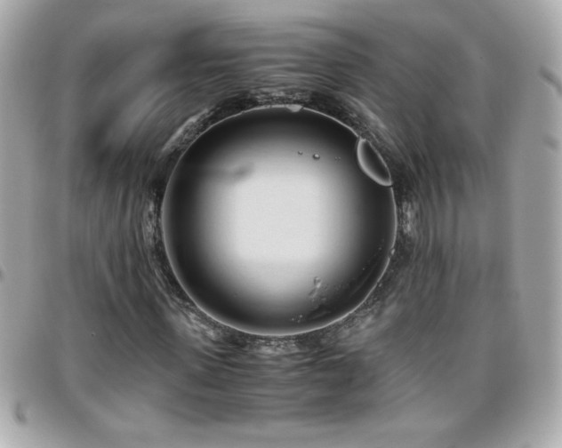 X0000096460915200801241403