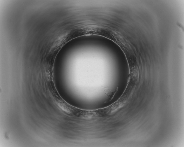 X0000096460916200801241403