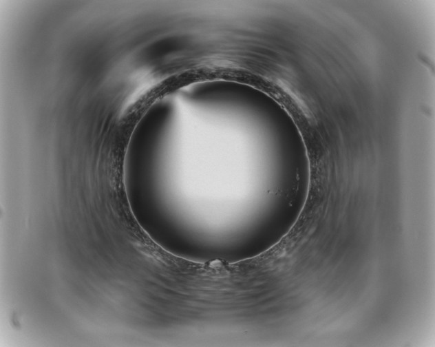 X0000096460919200801241403