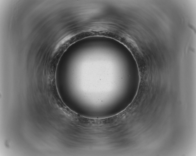 X0000096460920200801241403