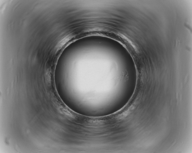 X0000096460921200801241403