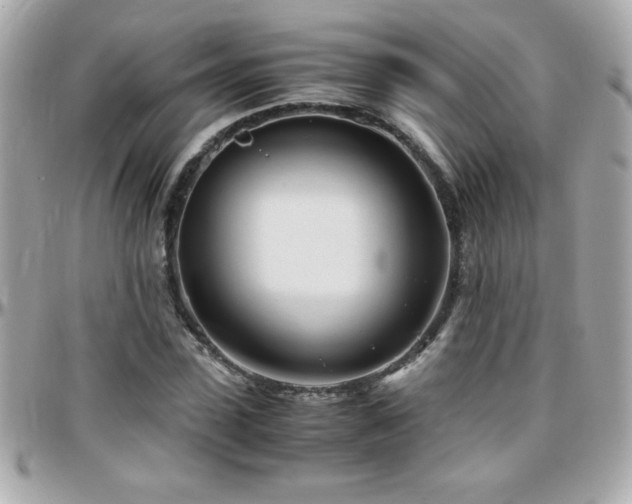 X0000096460923200801241403