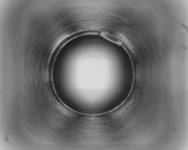 X0000096460924200801241403