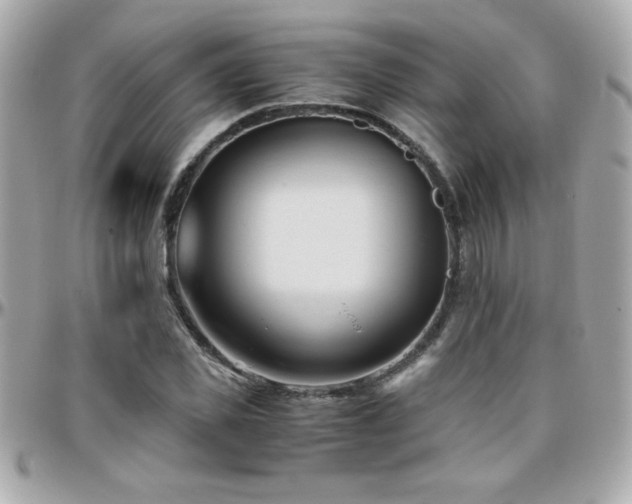 X0000096460925200801241403