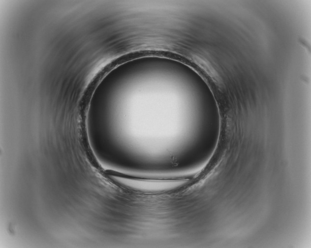 X0000096460926200801241403