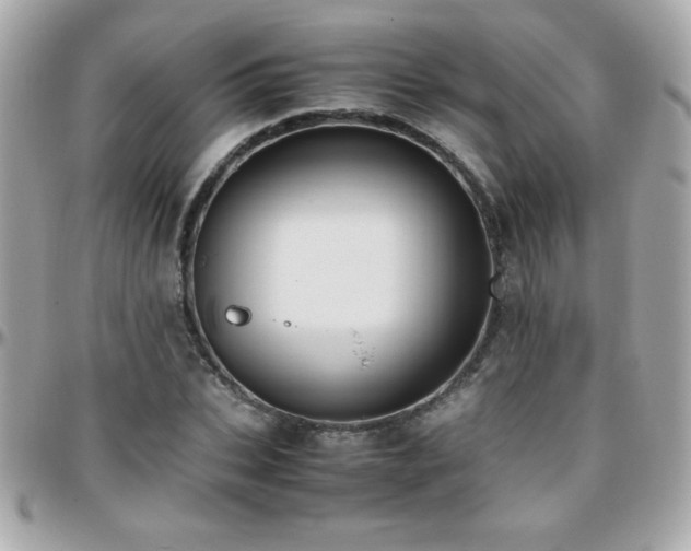 X0000096460927200801241403