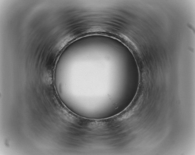 X0000096460929200801241403
