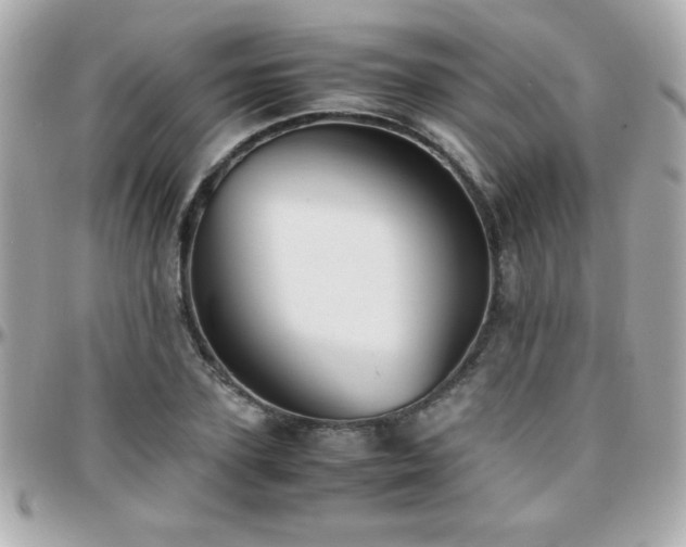 X0000096460931200801241403